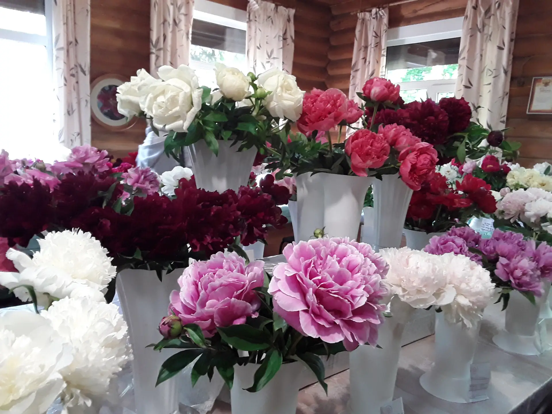 💐 Дачная академия приглашает горожан на выставки пионов и скульптурной живописи из цветов