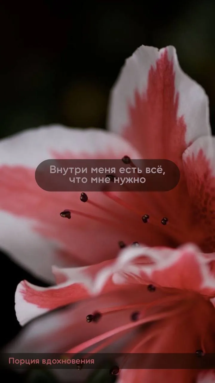Прекрасного начала новой недели дорогие ❤️
Для кого-то он выходной,  а для меня рабочий и утренние о