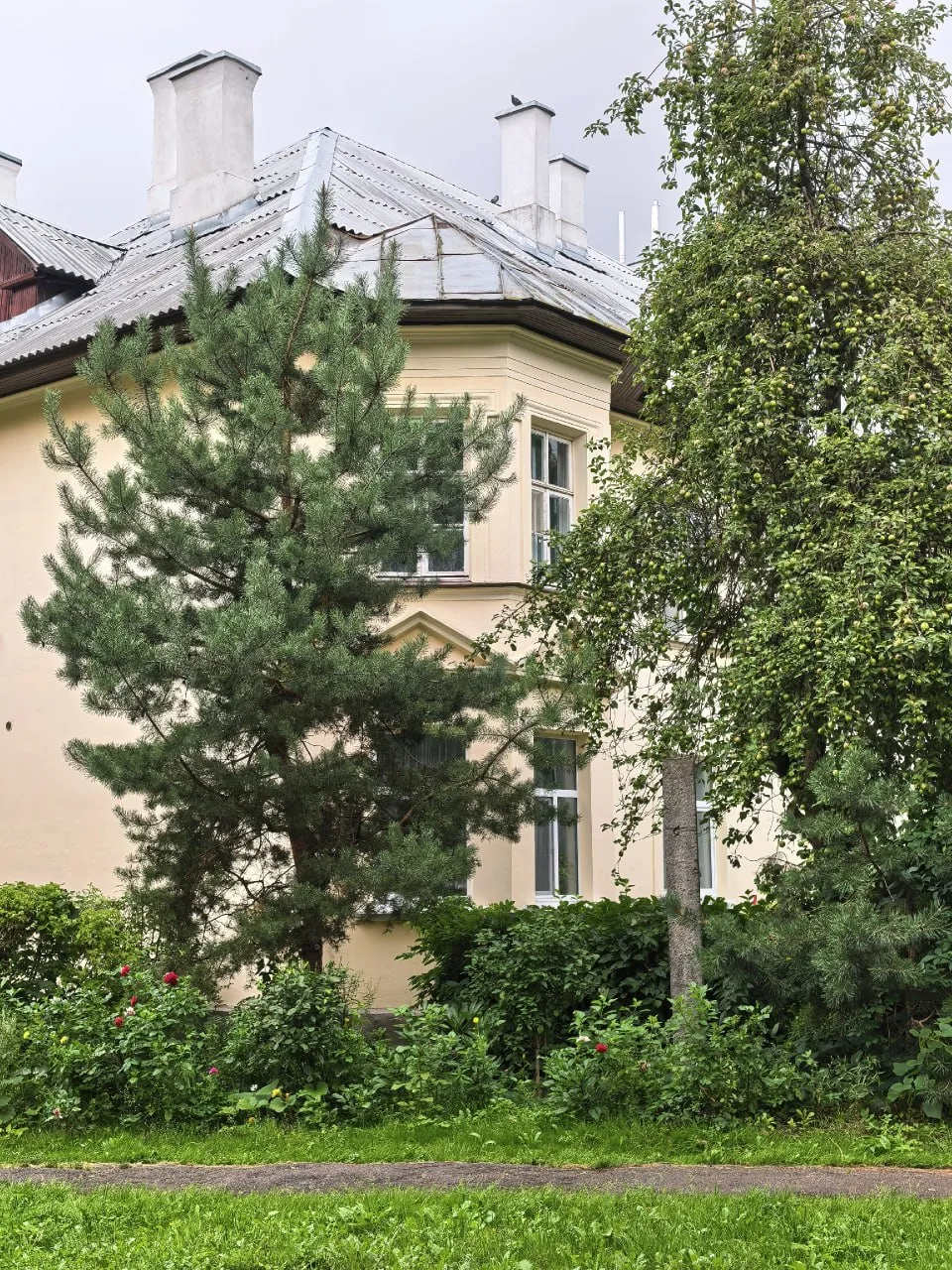 🍂 Гуляя по Осмоловке, я встретила женщину, которая спросила у меня, где находится улиц...