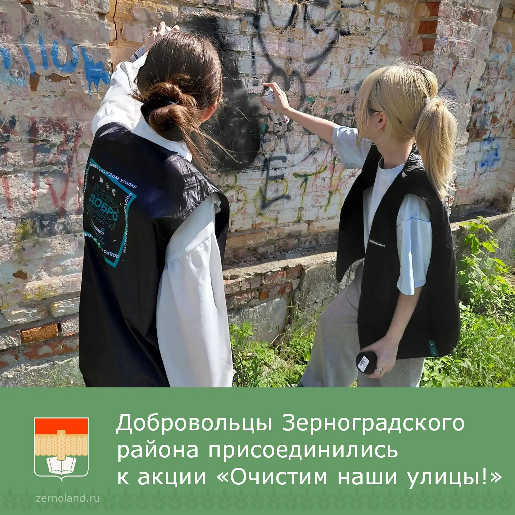 ✔️ Добровольцы Зерноградского района присоединились к общероссийской акции «Очистим наши улицы!».
  
