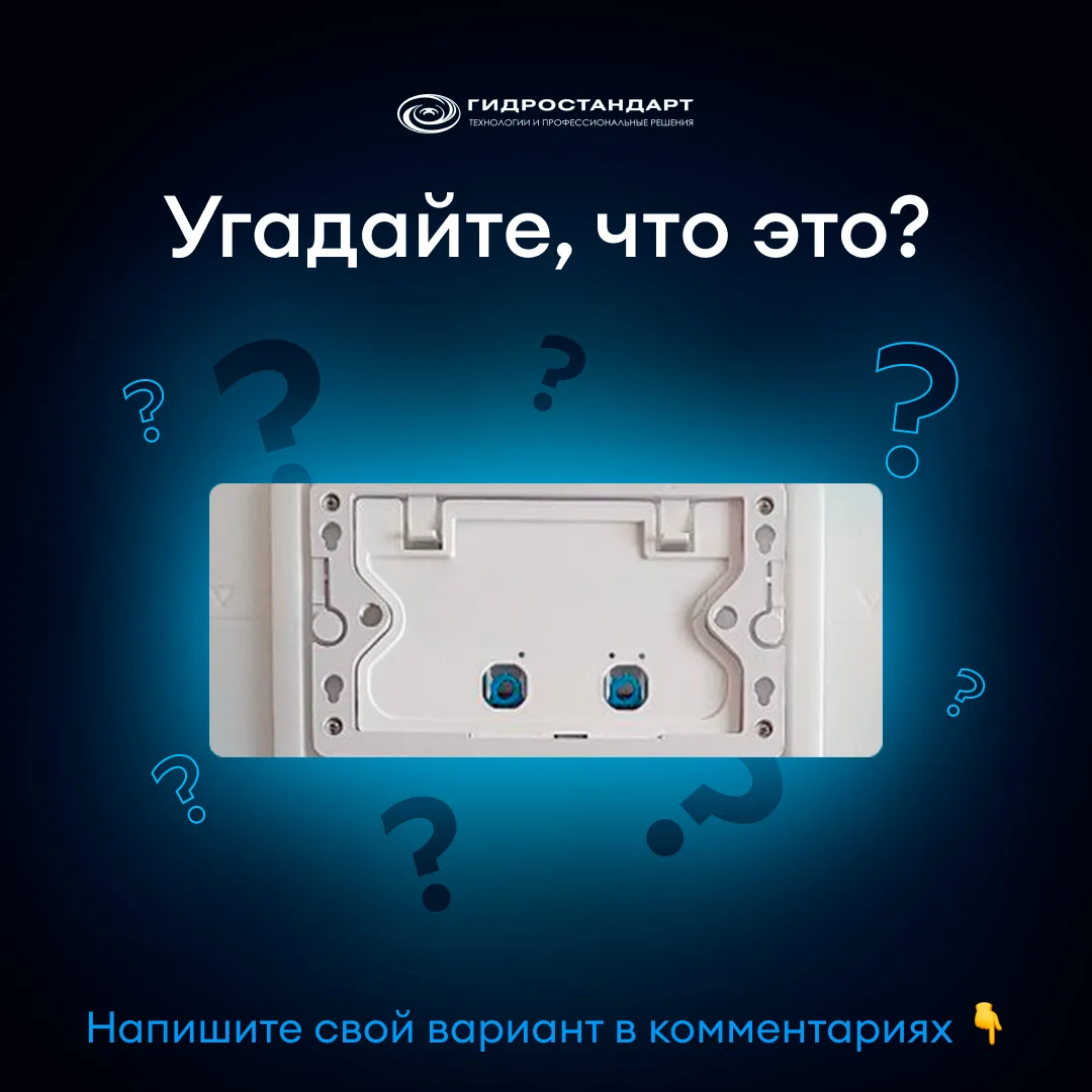 Кто это на нас смотрит? 👀