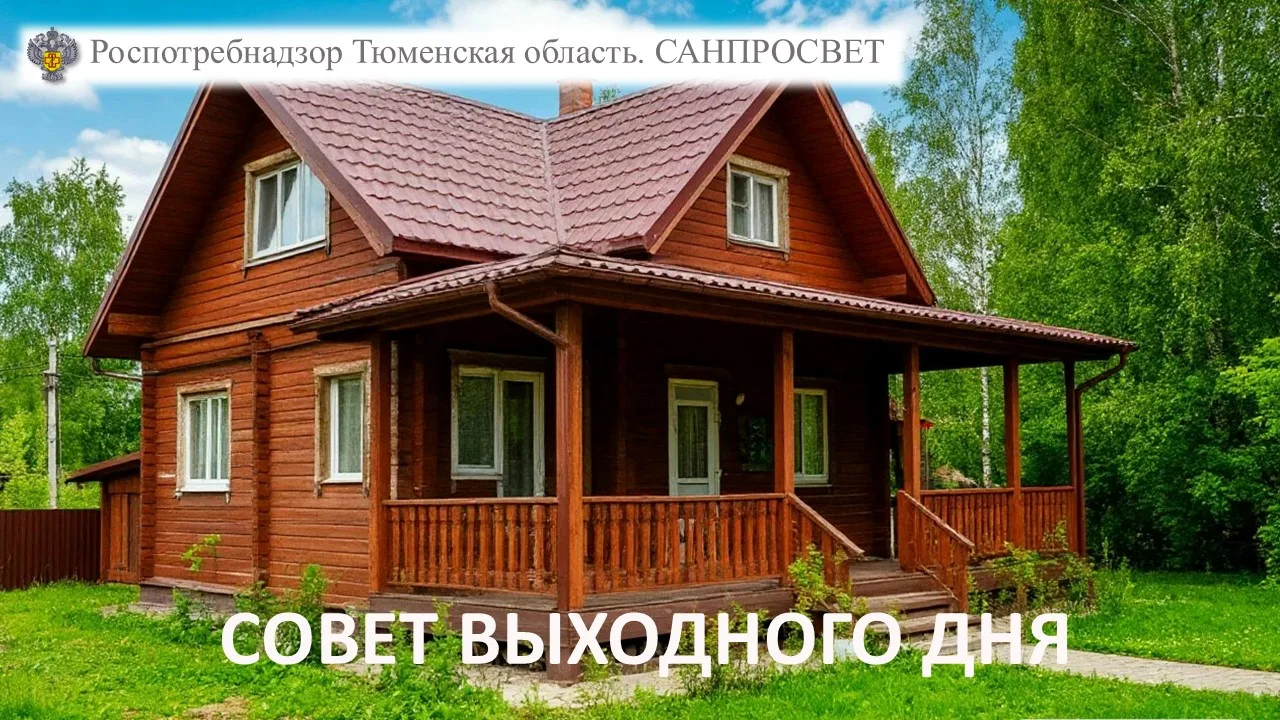 СОВЕТ ВЫХОДНОГО ДНЯ: гигиена на даче