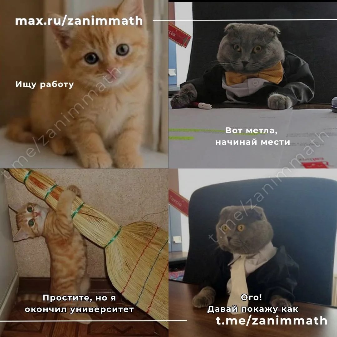 Все доброго утра! @zanimmath #учеба #университет #работа #выпускник #перваяработа