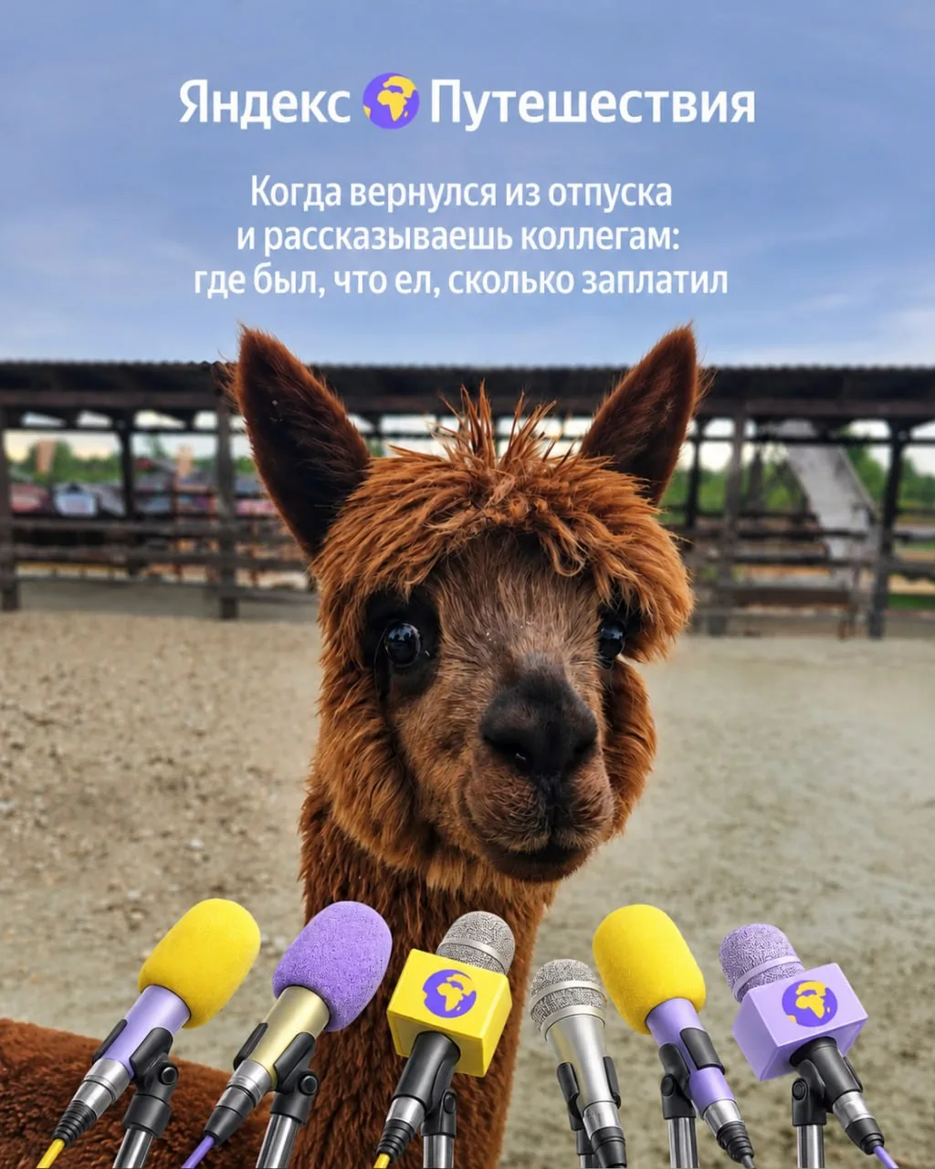 Чтобы почувствовать себя звёздами офиса — возьмите отпуск 🌟

Вы вернётесь отдохнувшими, загорелыми,