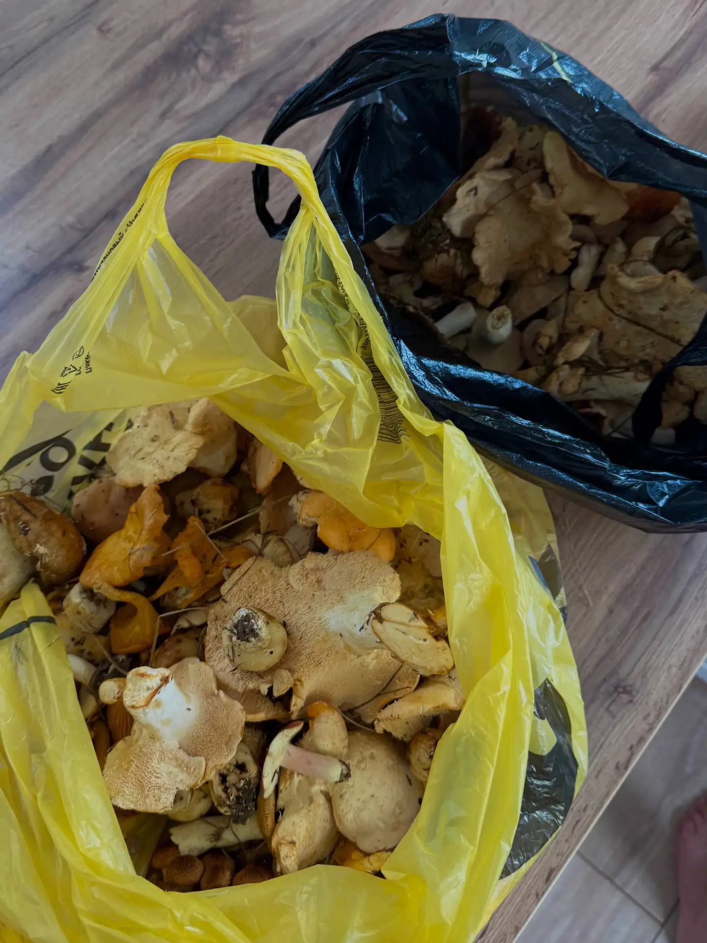 Неожиданный, субботний контент 🍄‍🟫