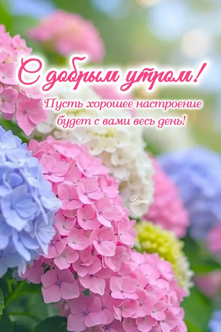 С добрым утром