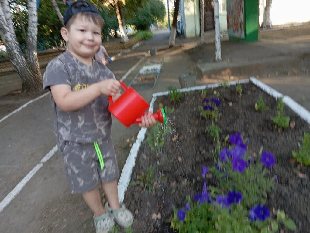Отчего зацвел цветок?