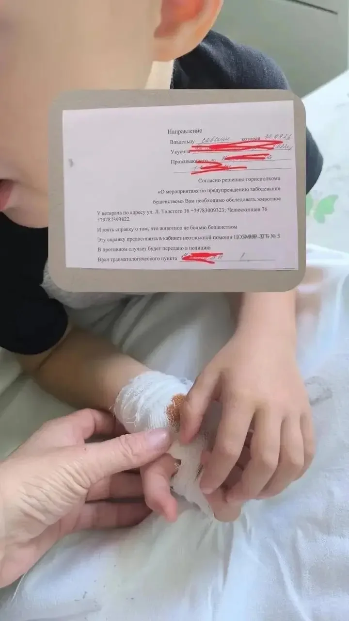 🐕 Трёхлетнего ребёнка укусила собака на детской площадке в Севастополе