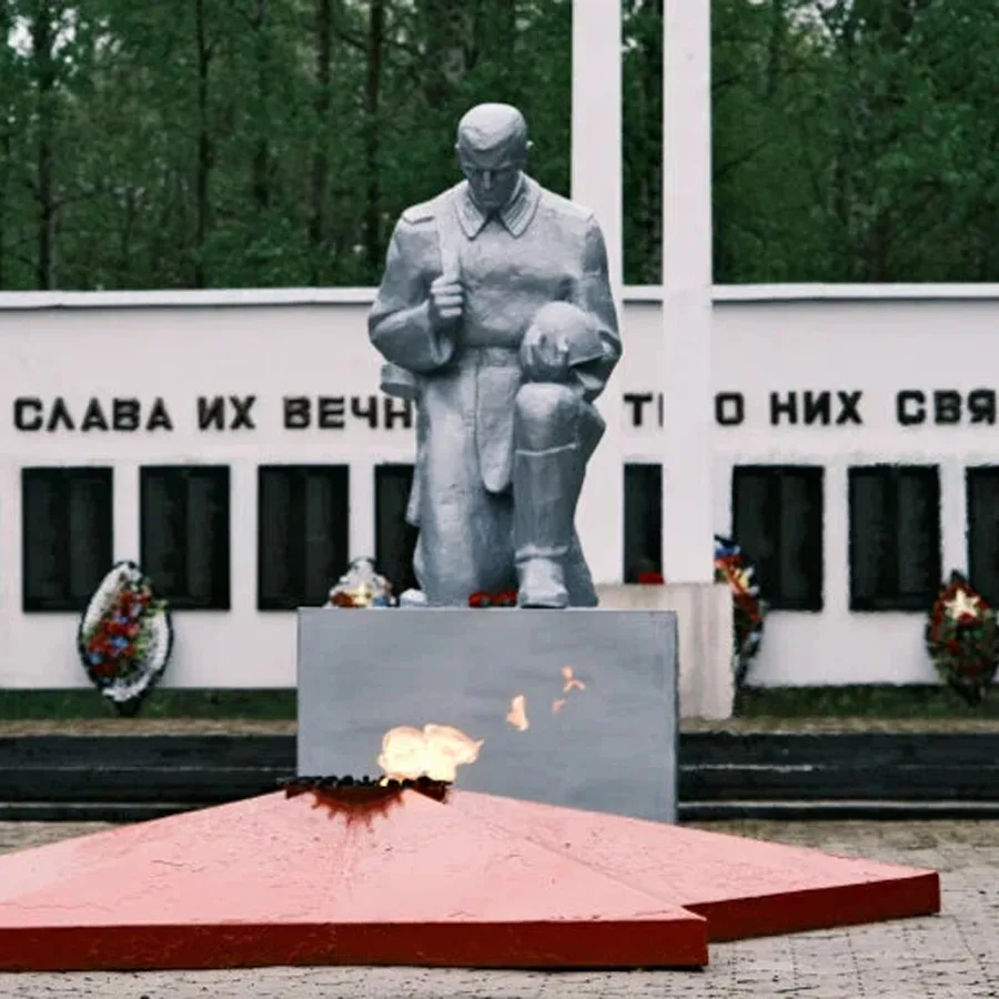 ⭐Вечный огонь в Пронске

Мемориальный комплекс расположен в рабочем поселке Пронск (Рязанская област