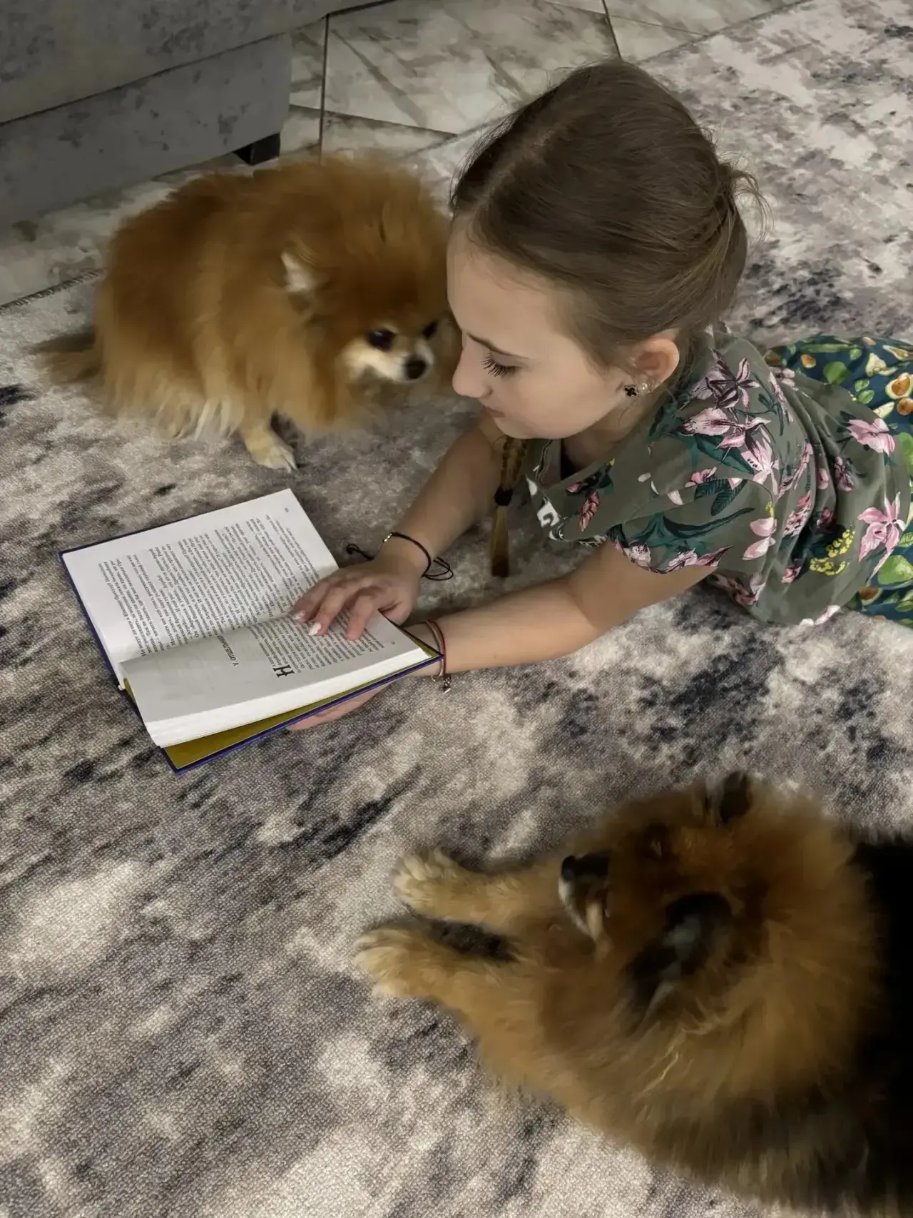 Каждый, у кого есть или был домашний питомец, знает, как много счастья и радости могут принести нам 