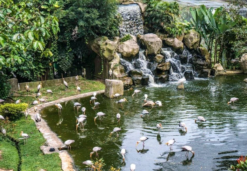 Парк Птиц в Куала-Лумпуре, Малайзия 🇲🇾  🔹 Парк Птиц в Куала-Лумпуре - крупнейший в мире открытый ави