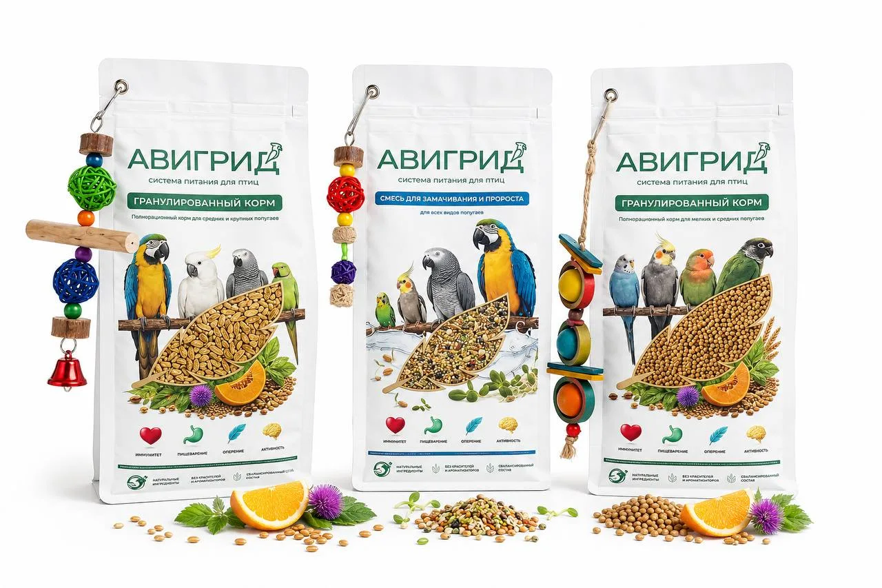 🦜От гробов к попугаям: партнеры «Фаворита» запускают кормовой бизнес