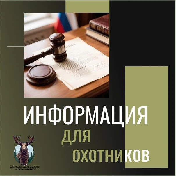 ❗️Важные новости для охотников и владельцев оружия