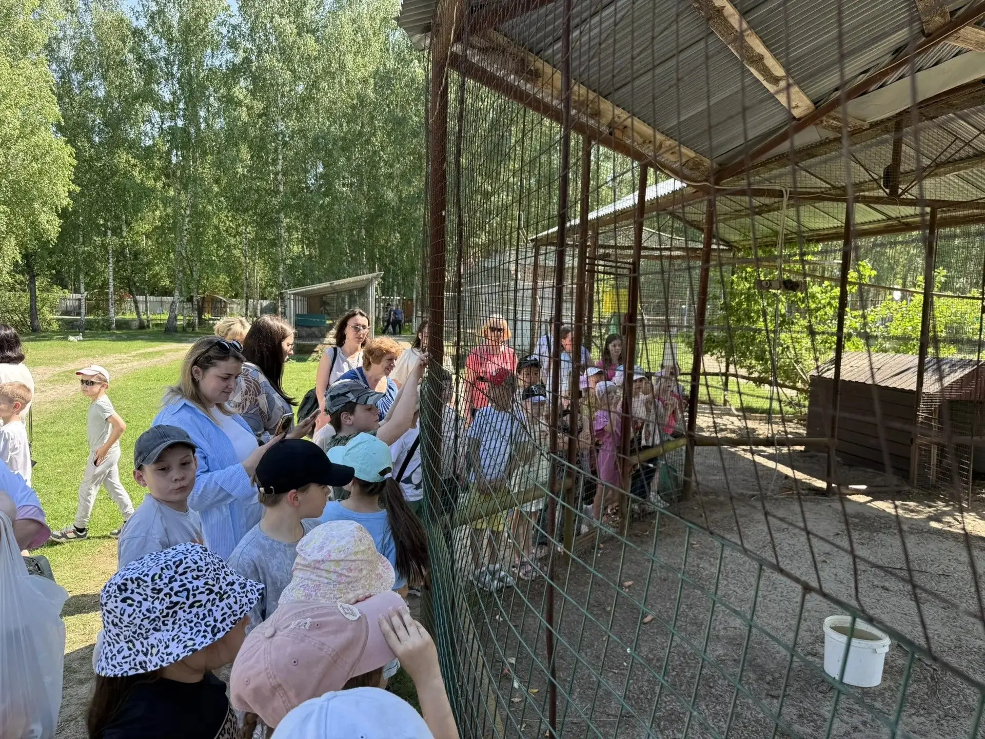 1 «Г» класс отметил окончание учебного года… в гостях у Бабы Яги!🧙✨  Необычное, но очень весёлое пут