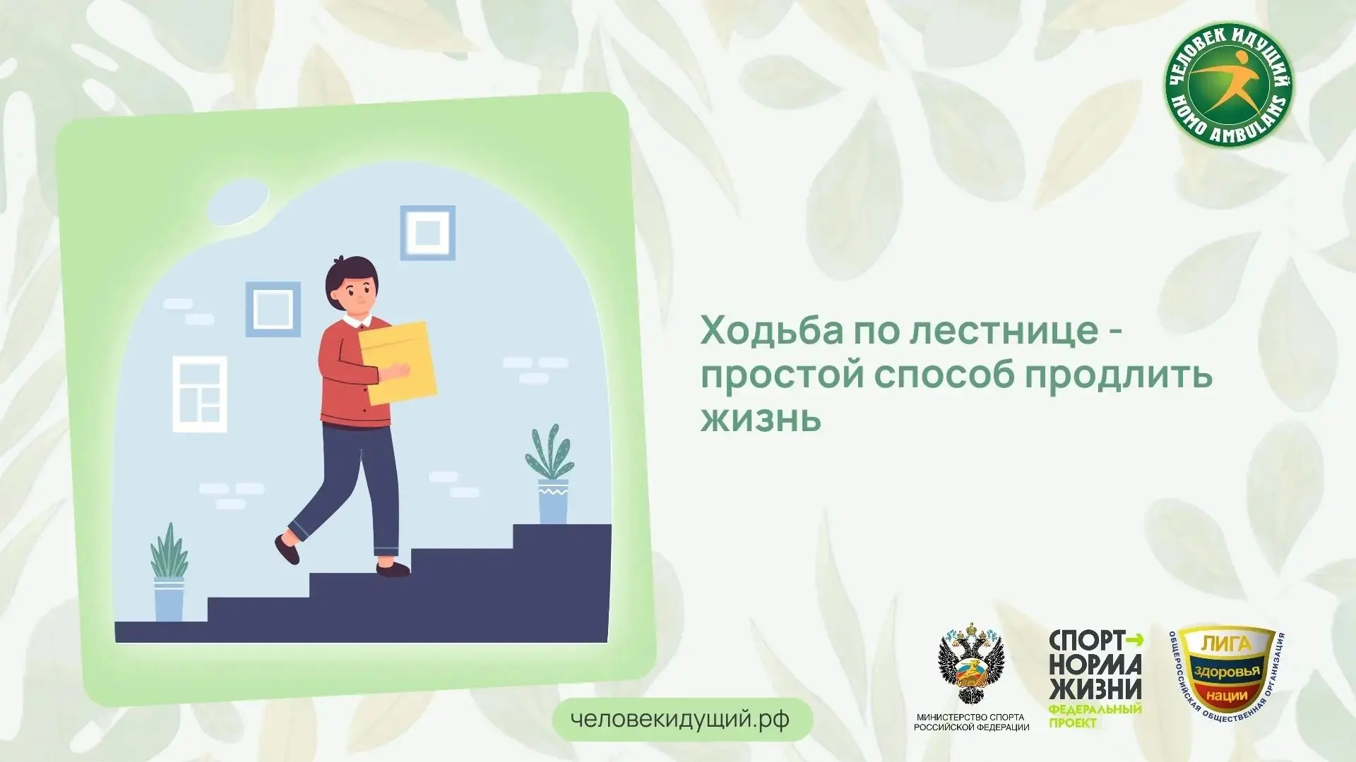 Метаанализ данных почти полумиллиона человек показал: у тех, кто регулярно поднимается ...
