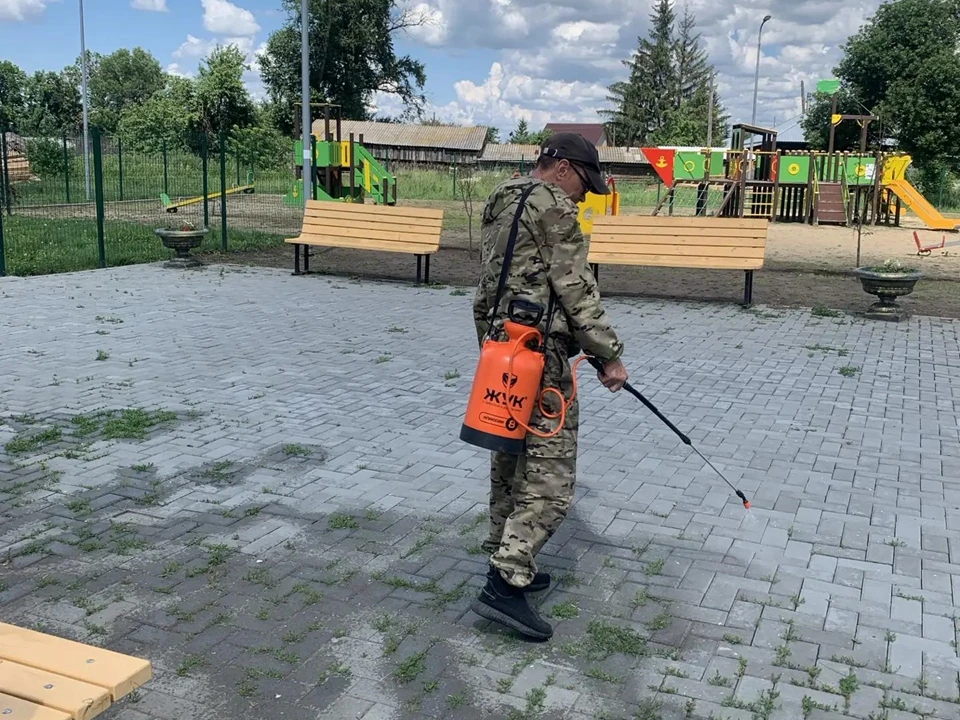 🌱Жаркое лето с обильными осадками дает быстрый рост растительности. На борьбу с травой ежедневно вы
