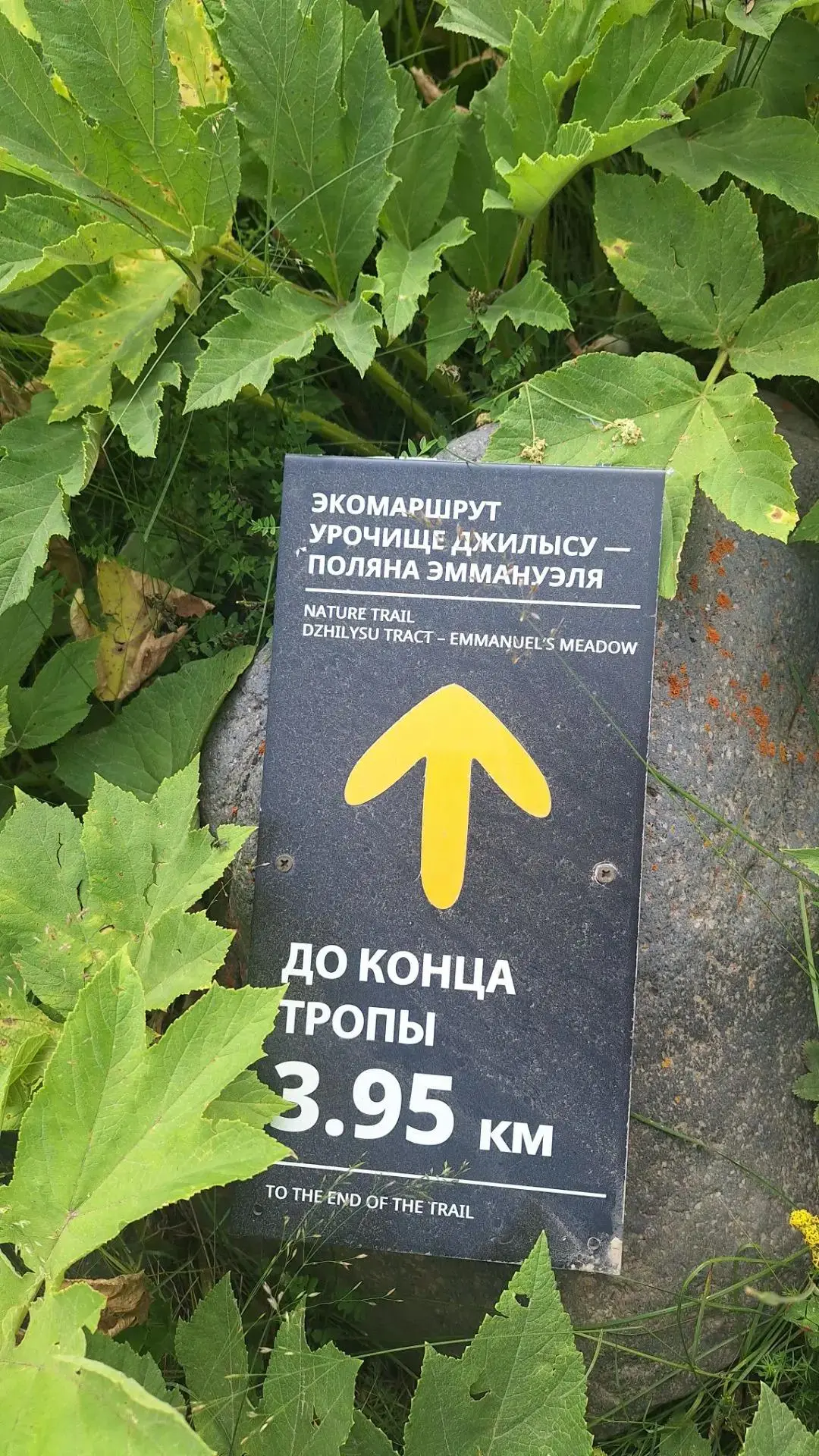 💕 Путешествие на Джилы-Су