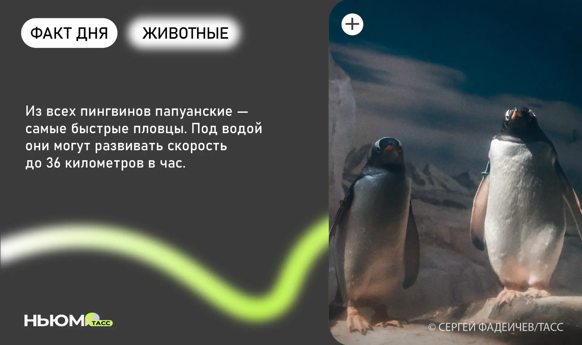 Знали?