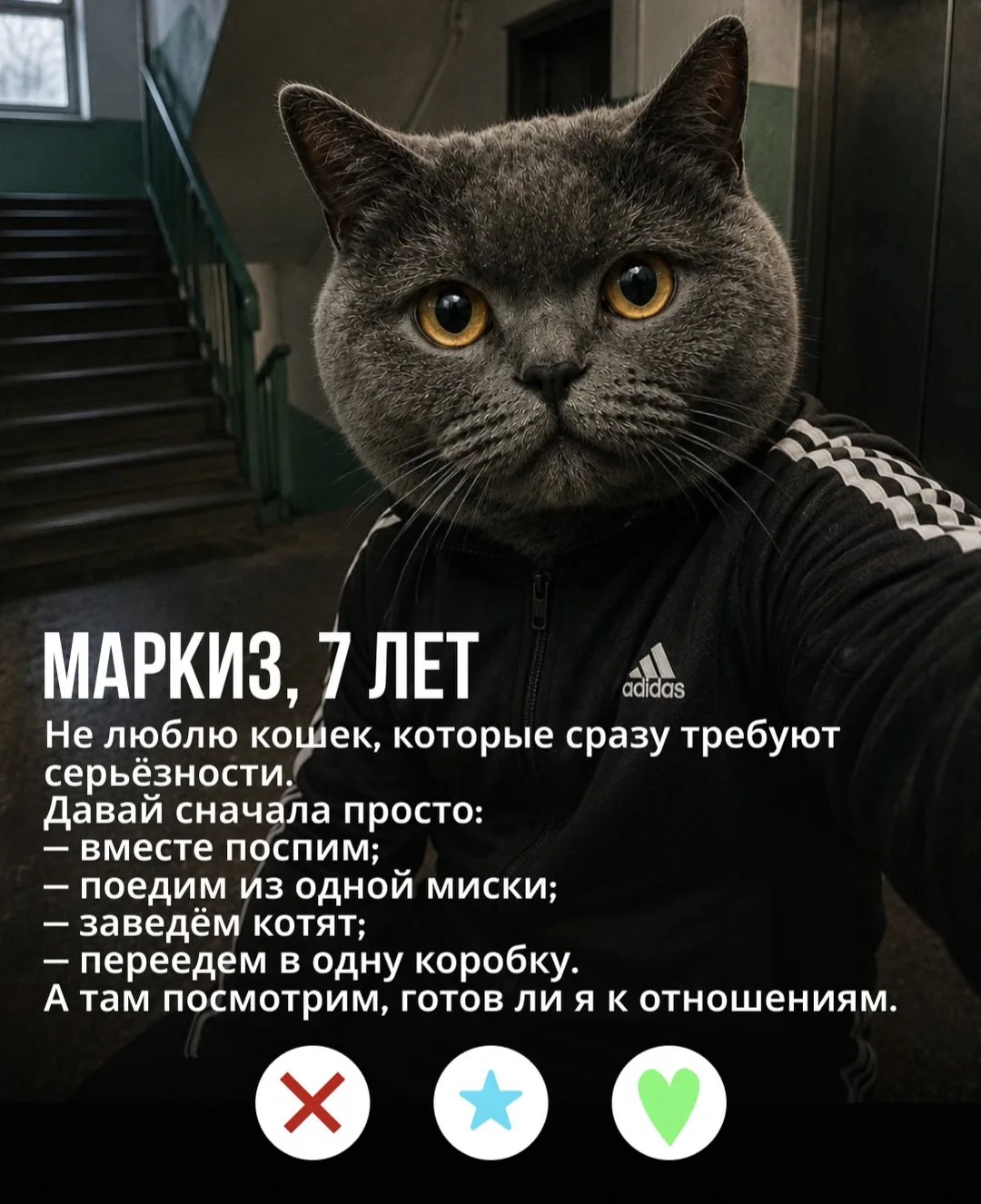 Доброе утро, девочки!  Чей?)) Я так понимаю 7х7 = 49 лет ему по человеческому))