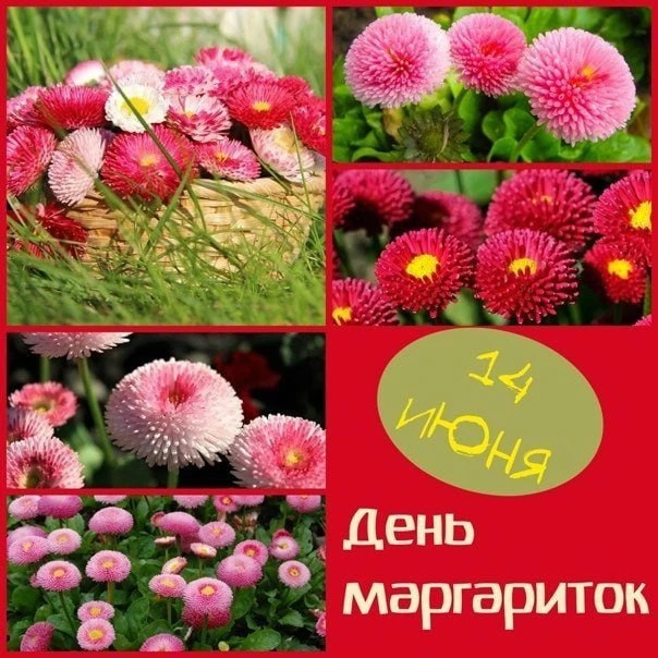 🎉 #праздник

Красивые открытки 💌
⠀в Max | в Теlegram