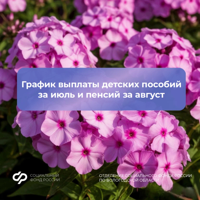 🌸 График выплаты детских пособий за июль и пенсий за август

👆 Подробнее – в наших карточках

#СФР