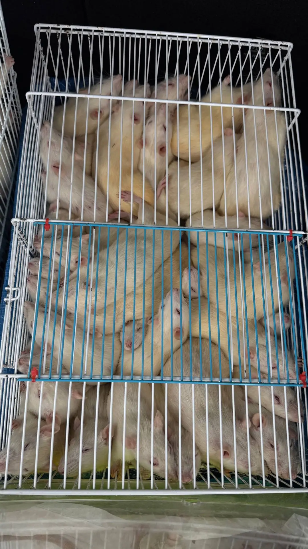 Друзья, у нас чрезвычайная ситуация.