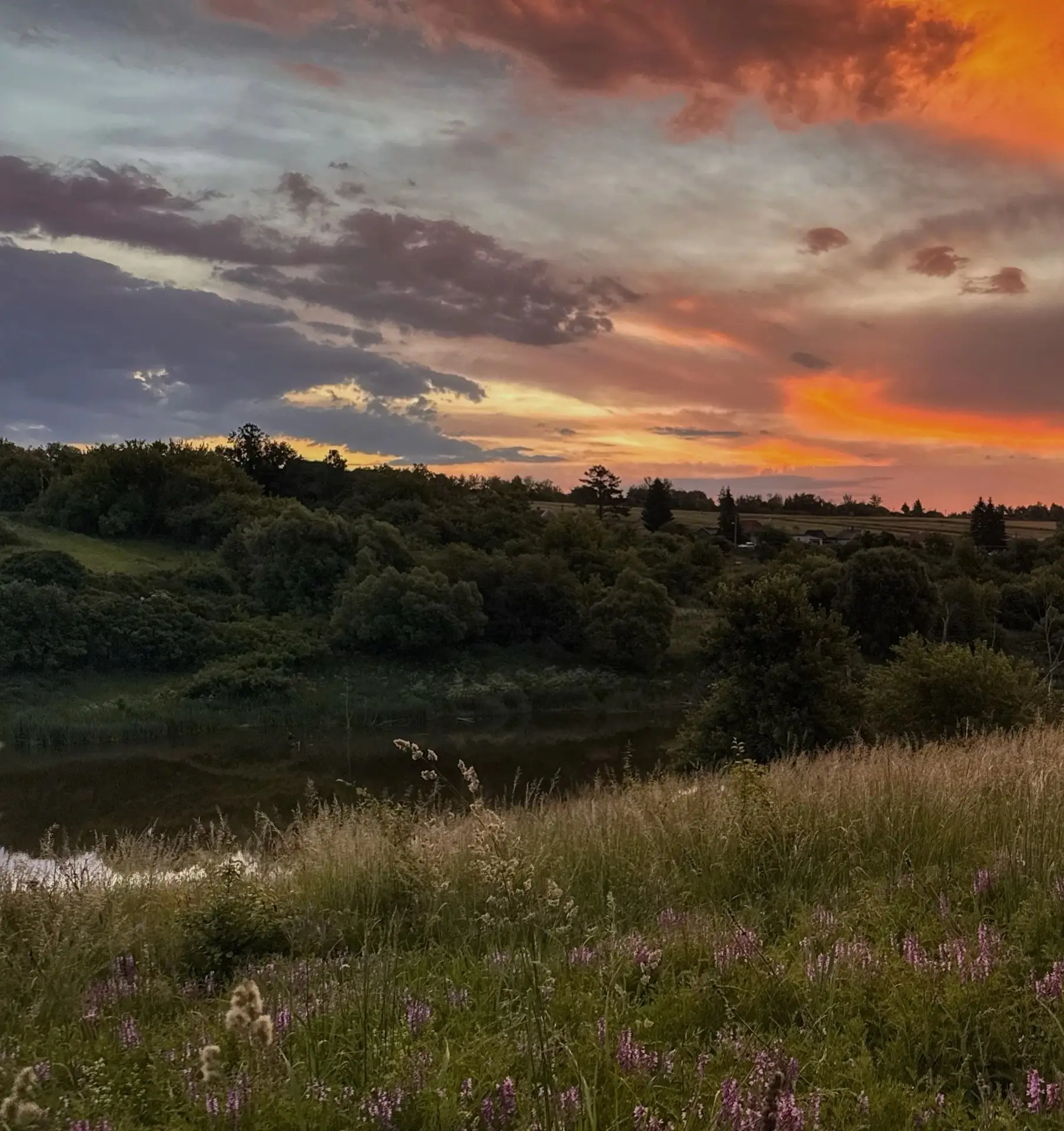 Хорошего вечера. 🌇