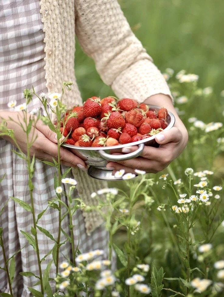 18 июня - День клубники 🍓Сладкий и ароматный праздник в честь королевы летних ягод! 
 
А на десерт 