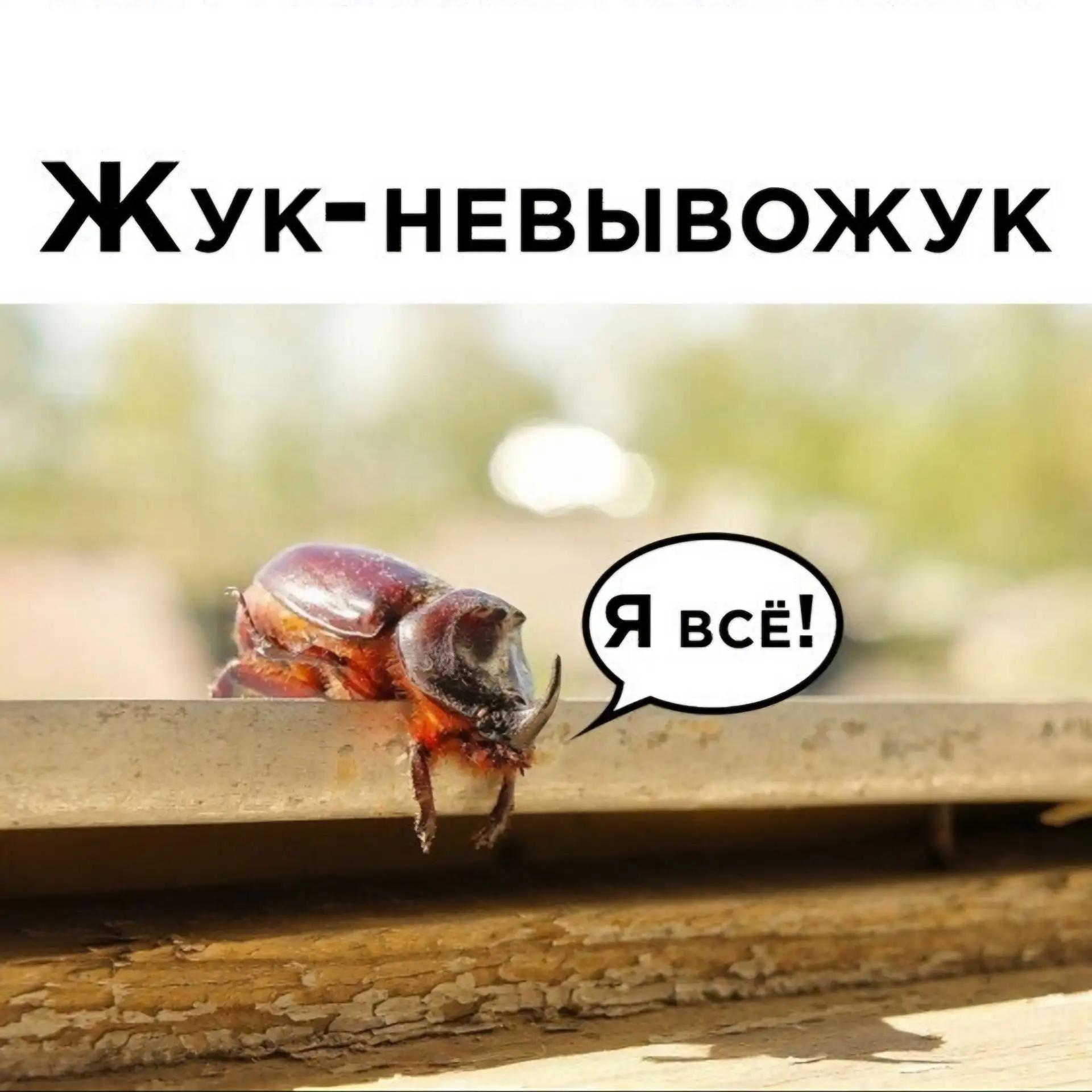 Вы пишите, как я всё успеваю с таким хозяйством?

Иногда есть режим жука-невывожука, когда хочется о