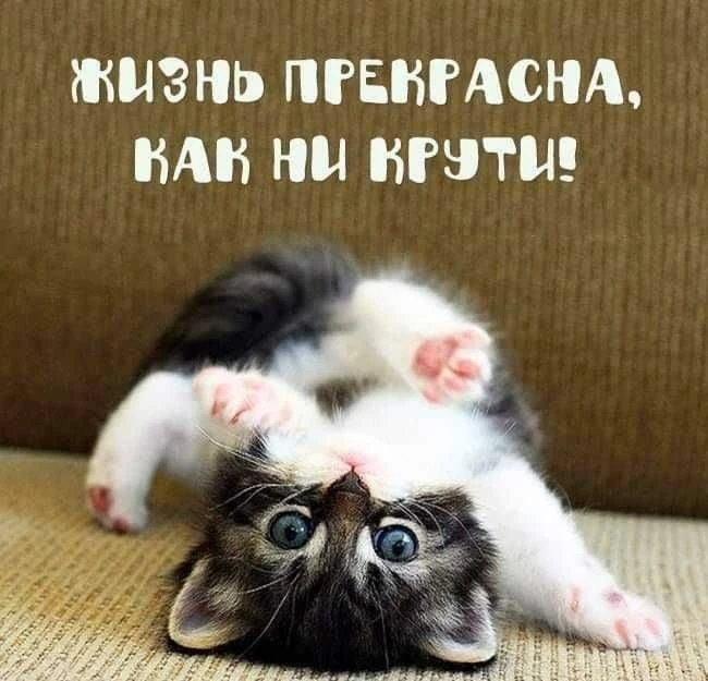 Пусть будет много поводов для улыбки! 😁
