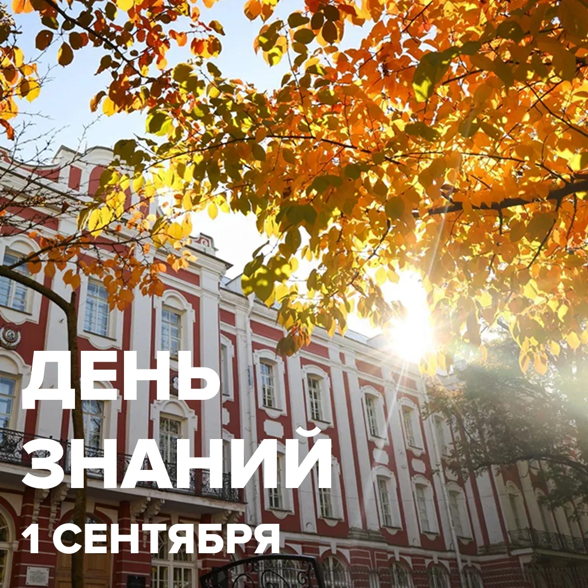 💫 С Днем знаний!