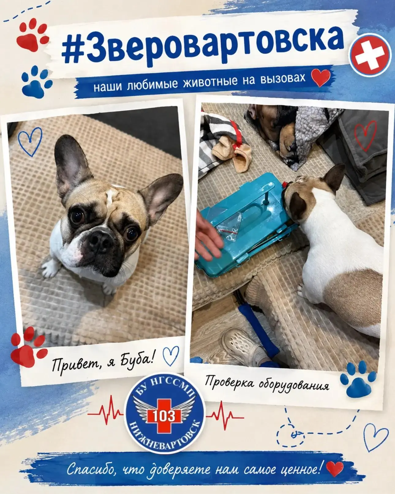 🐾 #ЗвероВартовск. Инспектор Буба на связи! 🐶🚑
