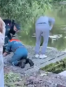 Спасение Утят!