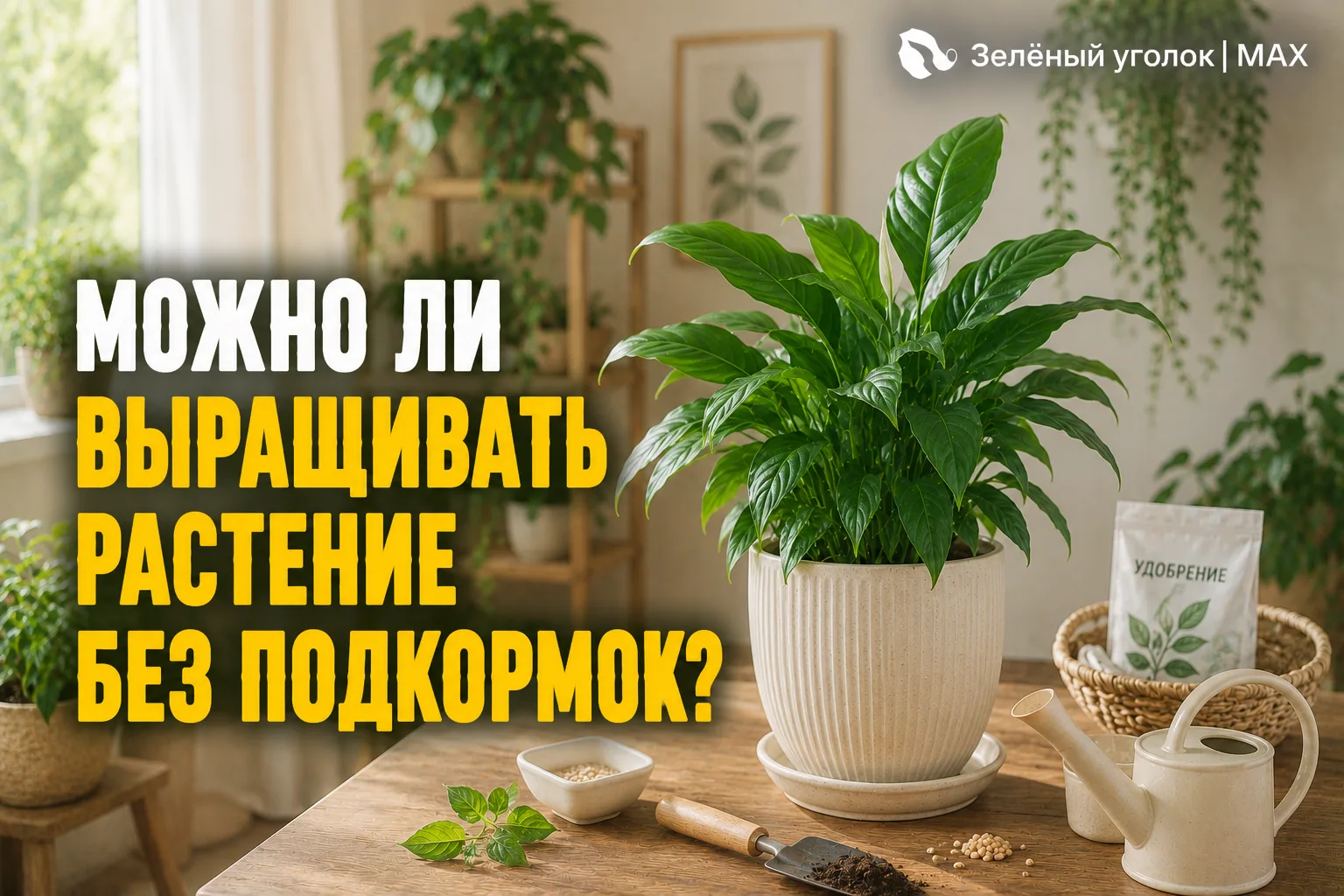 🪴 МОЖНО ЛИ ВЫРАЩИВАТЬ РАСТЕНИЕ БЕЗ ПОДКОРМОК?

Можно.

Но только недолгое время.

Постепенно запас 