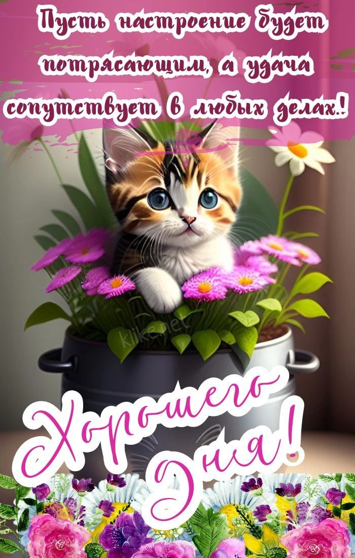 🥰 Ставьте реакции и делитесь открыткой с близкими ❤️

💌 Лучшие Открытки в MAX 
👉 Подписаться