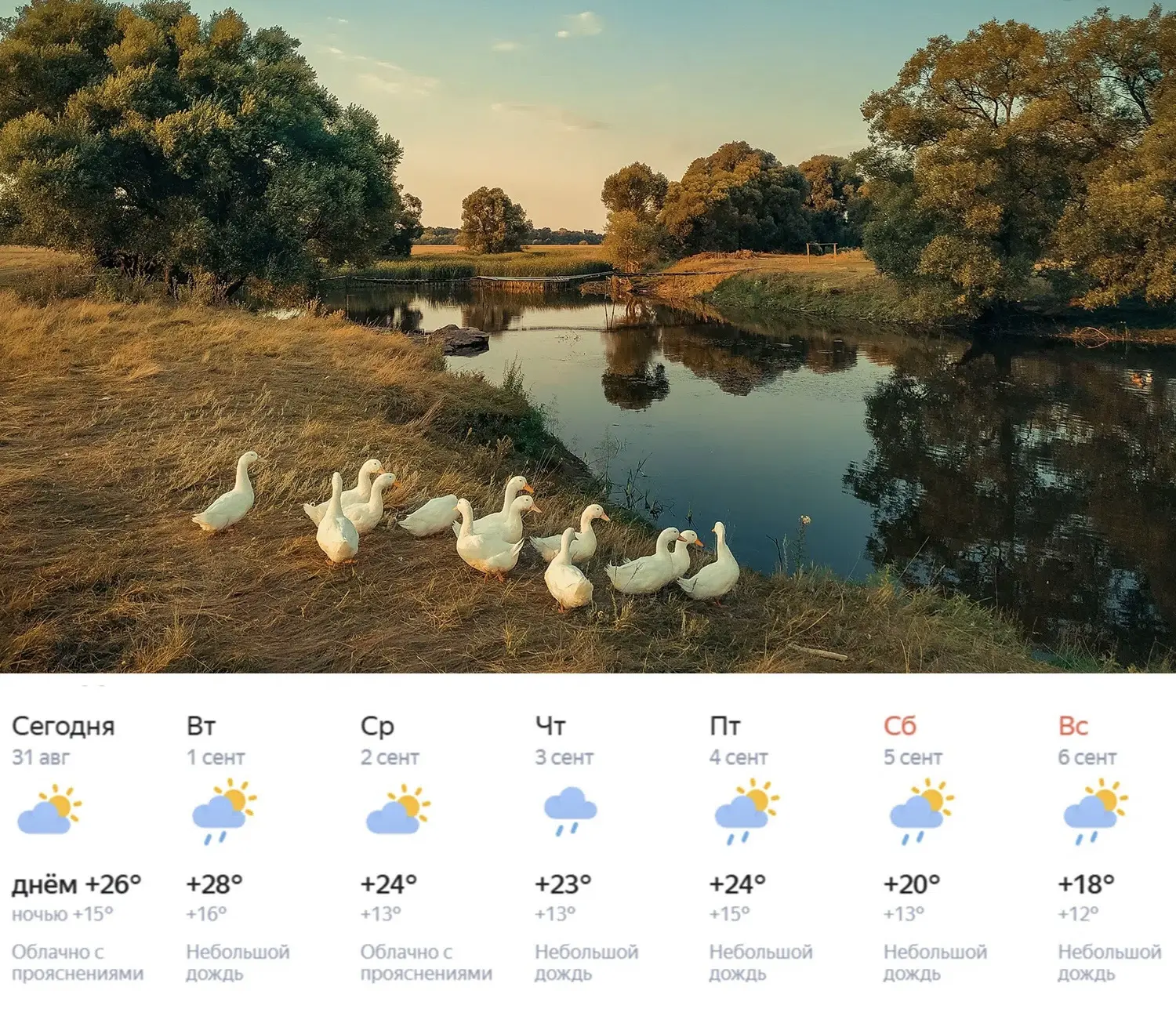 Доброе утро! ☀️