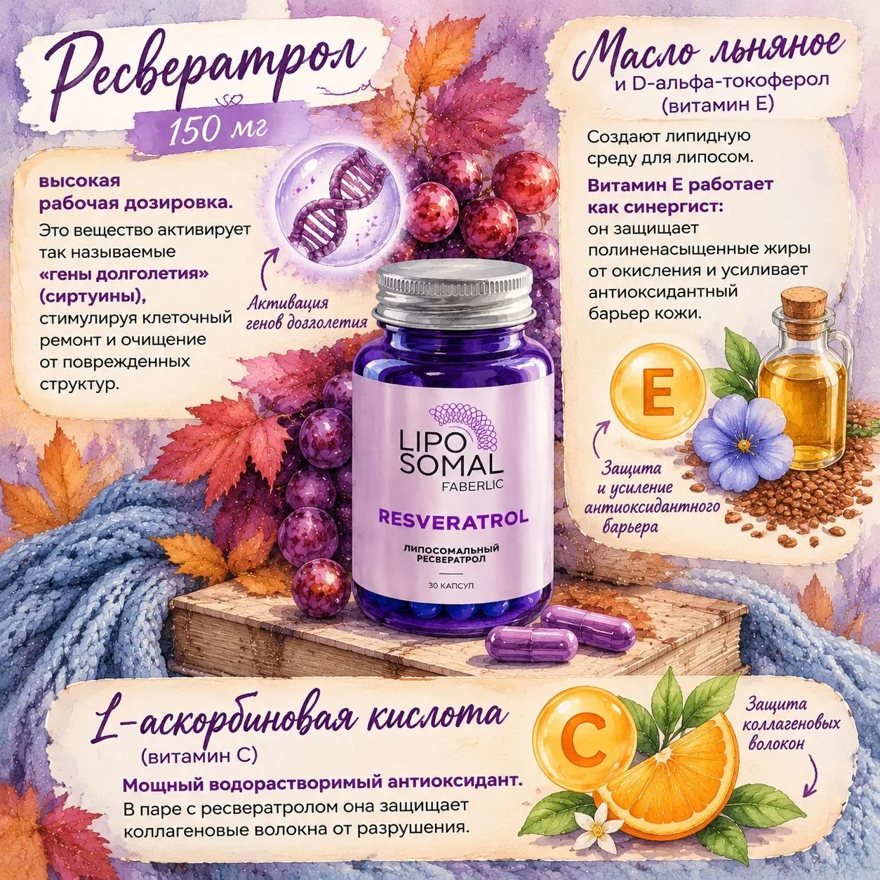 Что внутри капсулы