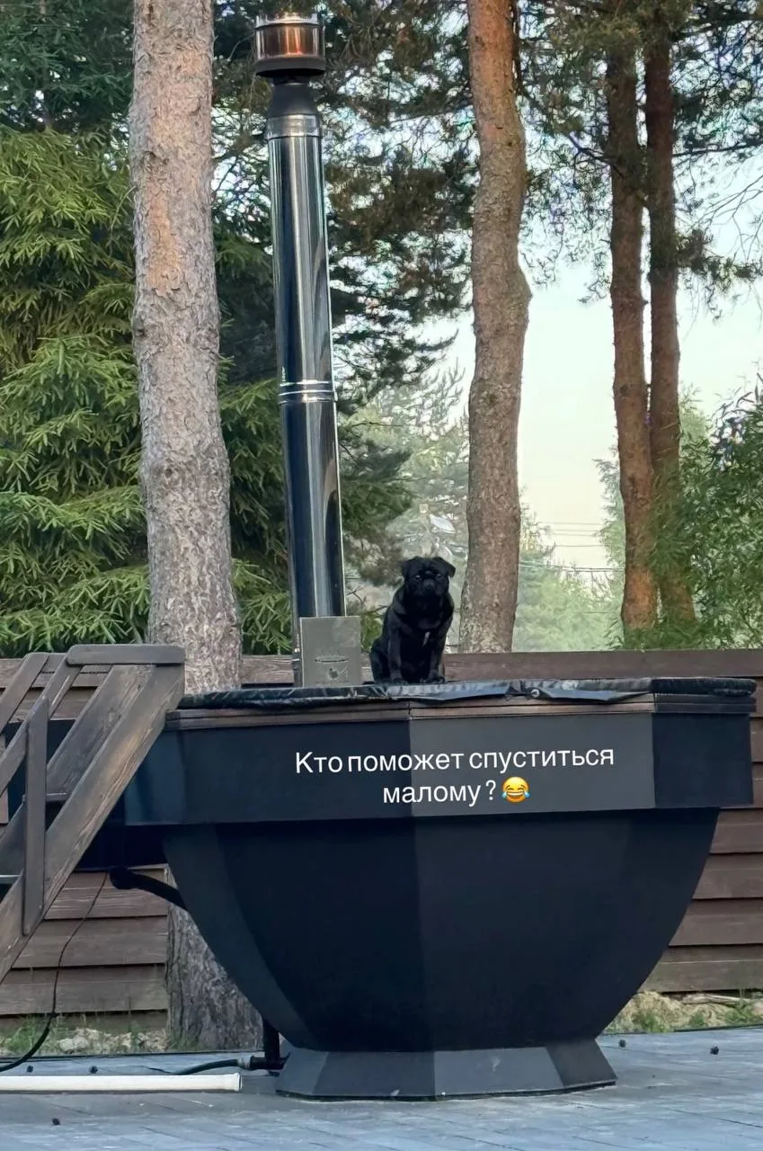 Помогайте собакену Дани Вовченко спуститься 🤣

 🦊 | @sf_mmg