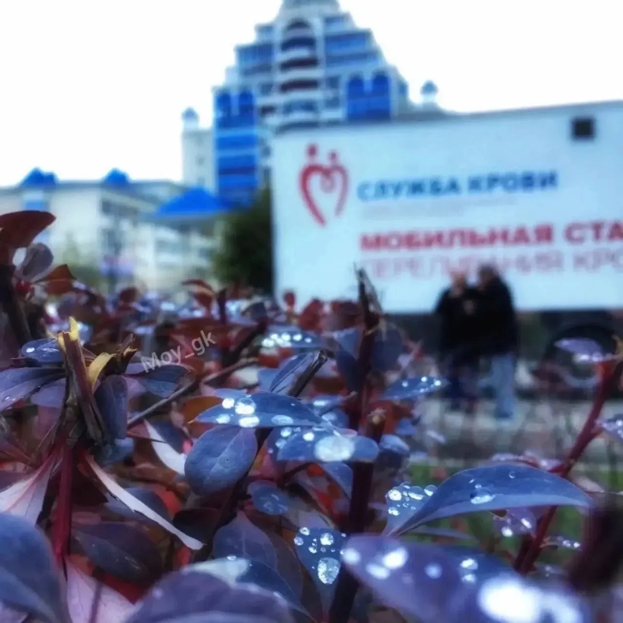 С 1 января 2027 года Минздрав изменит правила допуска к донорству крови и ее компоненто...
