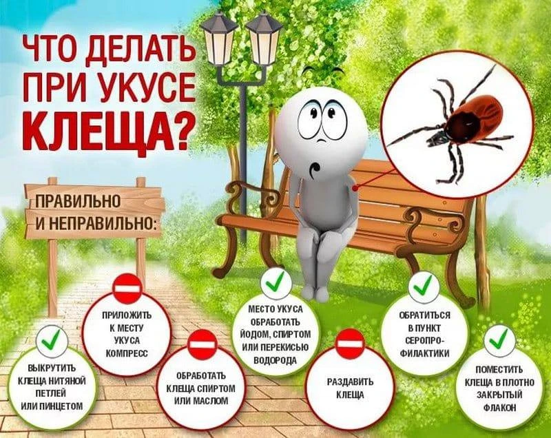 ✅Просим соблюдать простые правила на прогулке и в походе.
 
Вот несколько советов для тех, кто плани