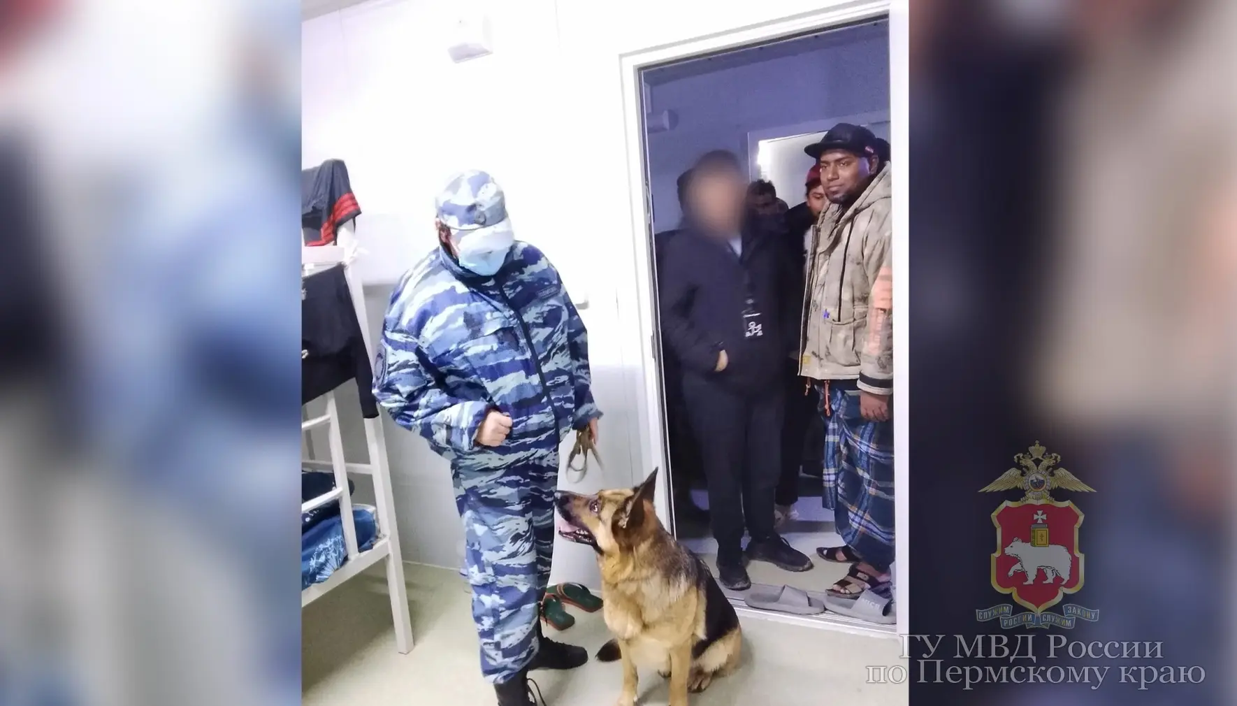 ❗Массовые рейды на нелегалов начались в Пермском крае