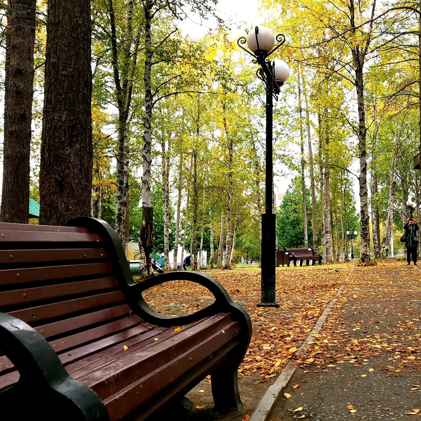 🍁 День пожилого человека – обязательный пункт культурной программы осенью: в нашем соо...