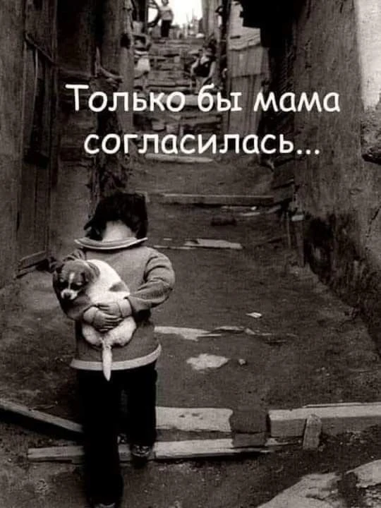 Так растёт душа....