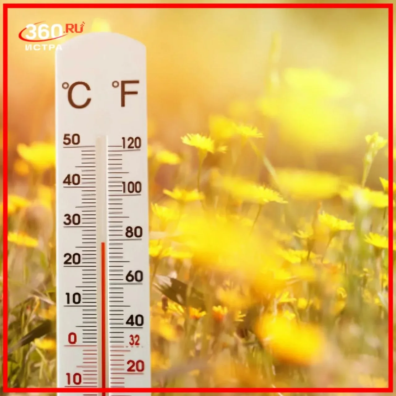 Начало недели порадует аномально тёплой погодой☀️  Истру ждёт переменная облачность без осадков, воз
