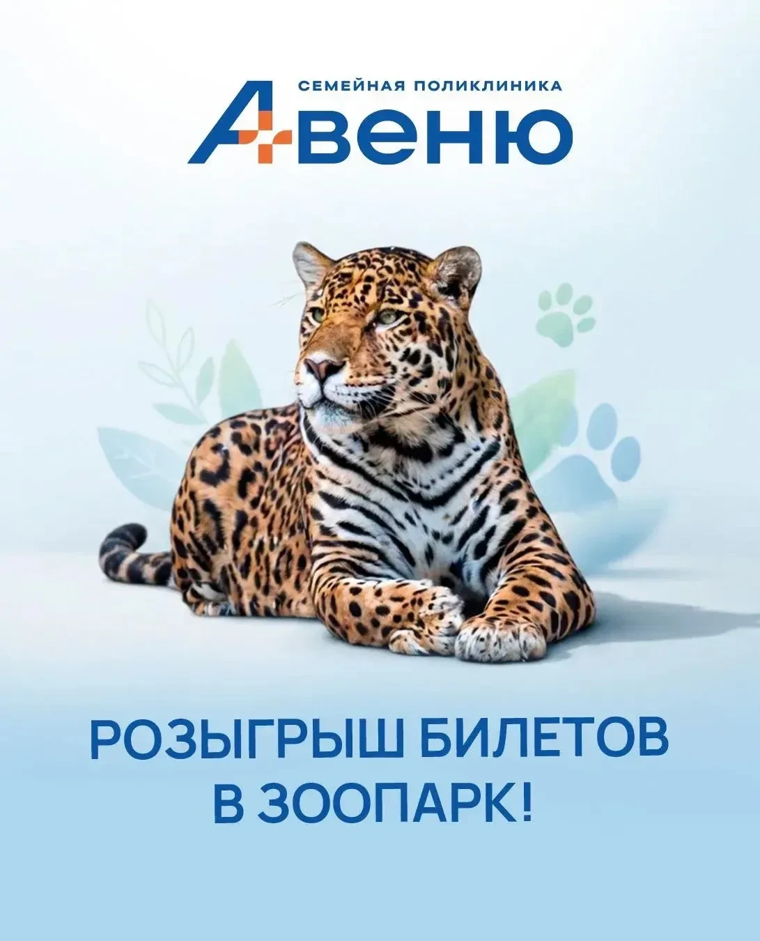 🎁 Розыгрыш билетов в зоопарк