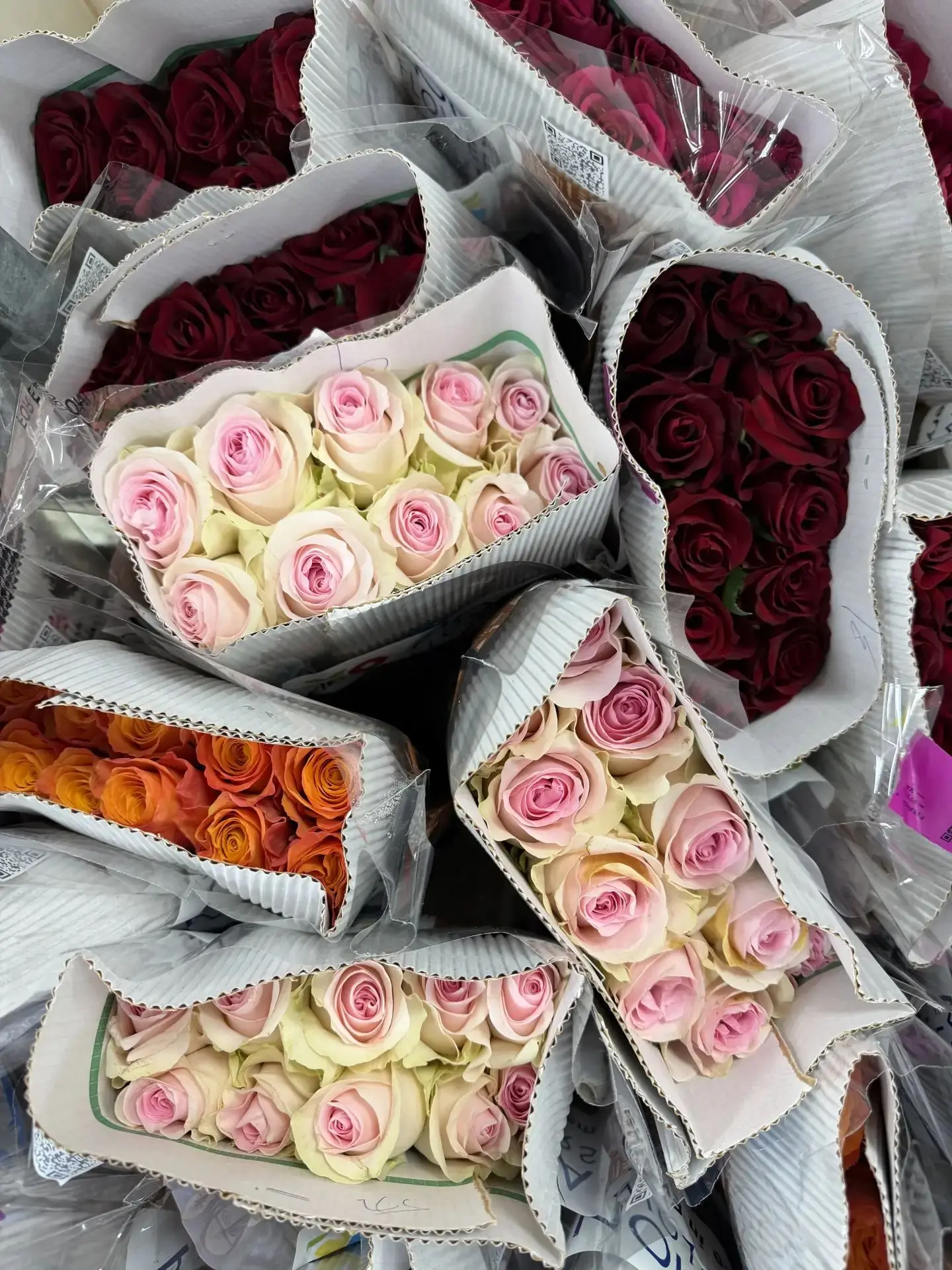 Завтра будут в наличии 💐 Кенийский розы 60см стойкость до трех недель 🎊✅ Цена 250р