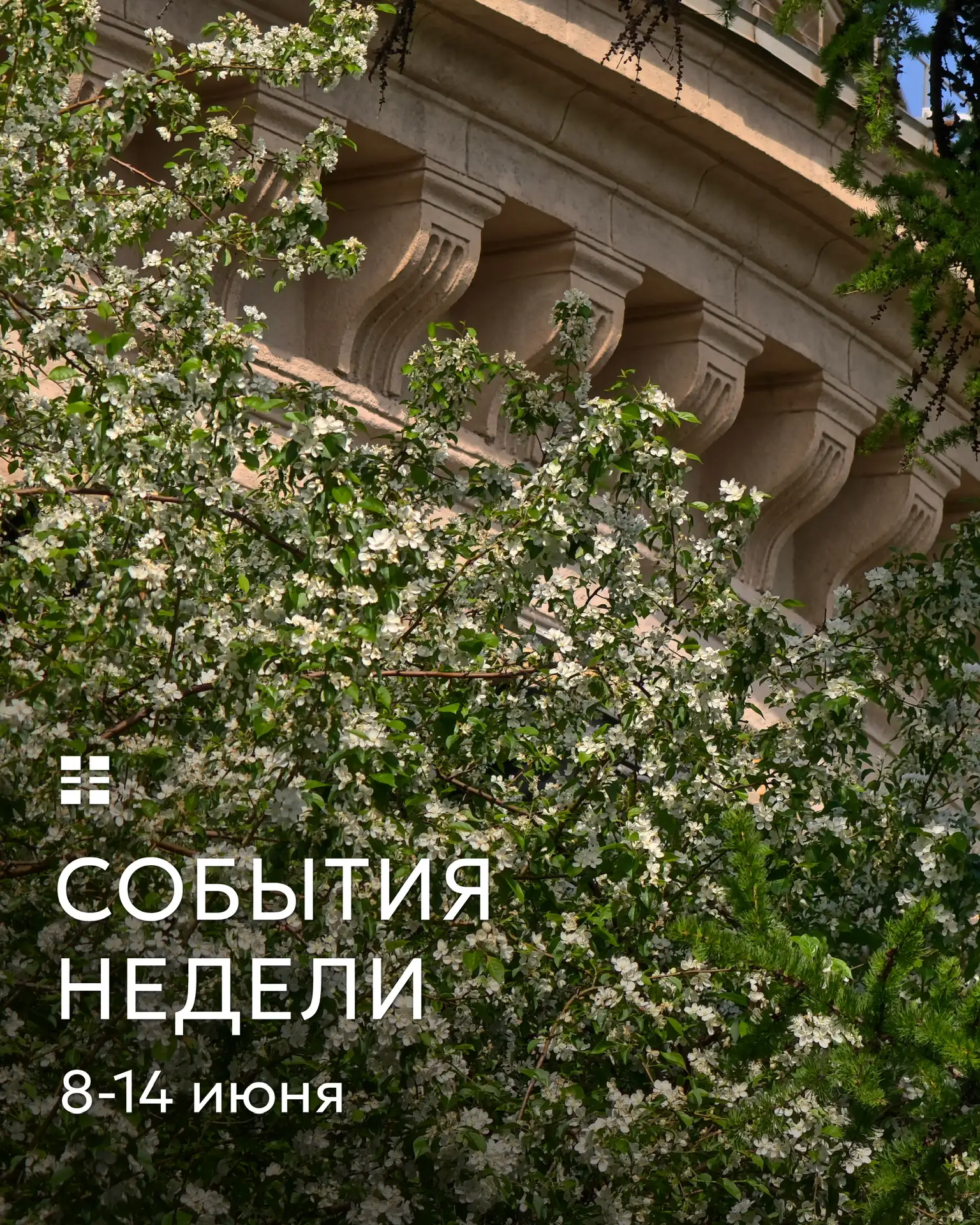 События недели