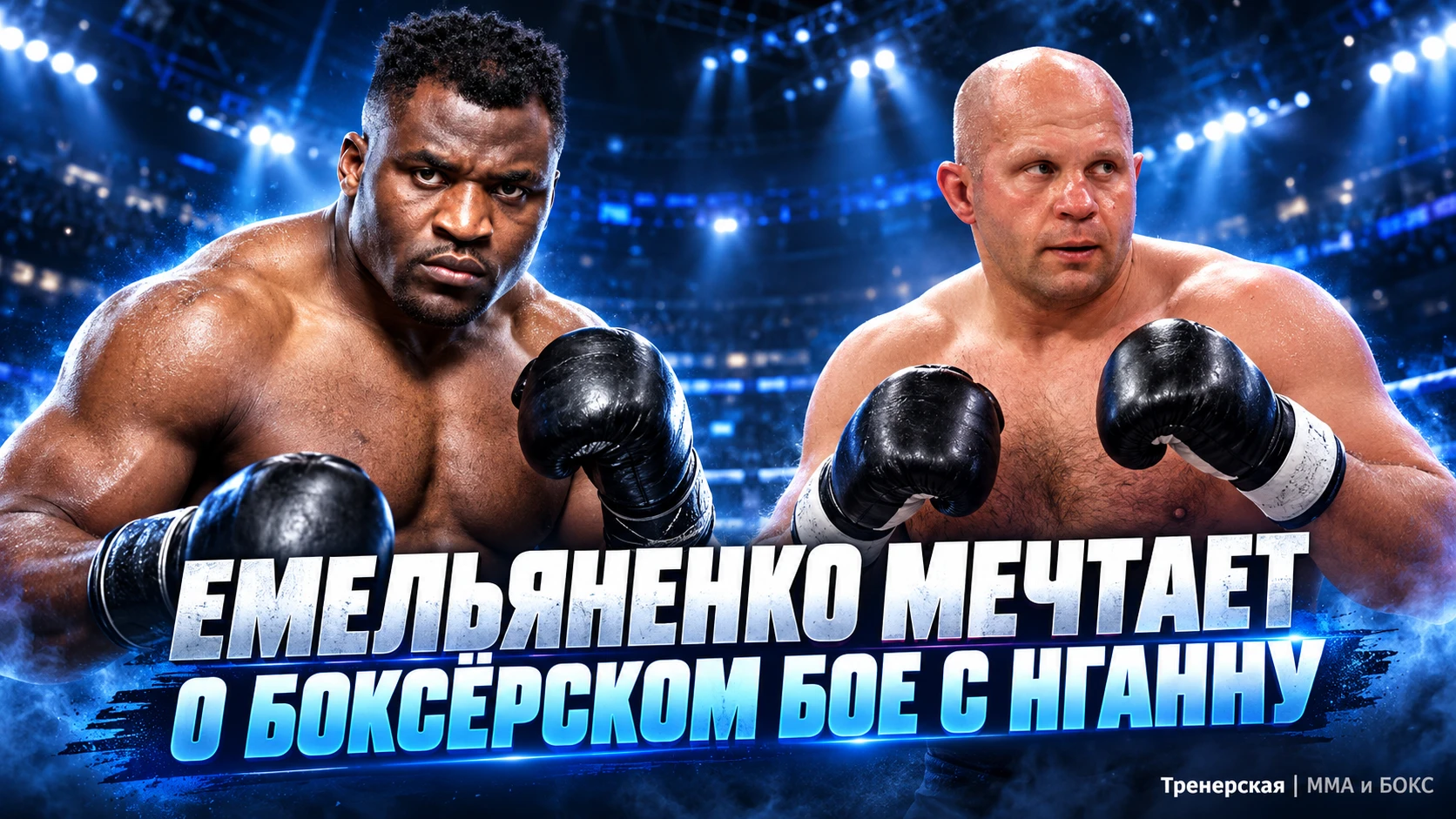 🥊 ФЁДОР ЕМЕЛЬЯНЕНКО МЕЧТАЕТ О БОКСЁРСКОМ БОЕ С ФРЭНСИСОМ НГАННУ