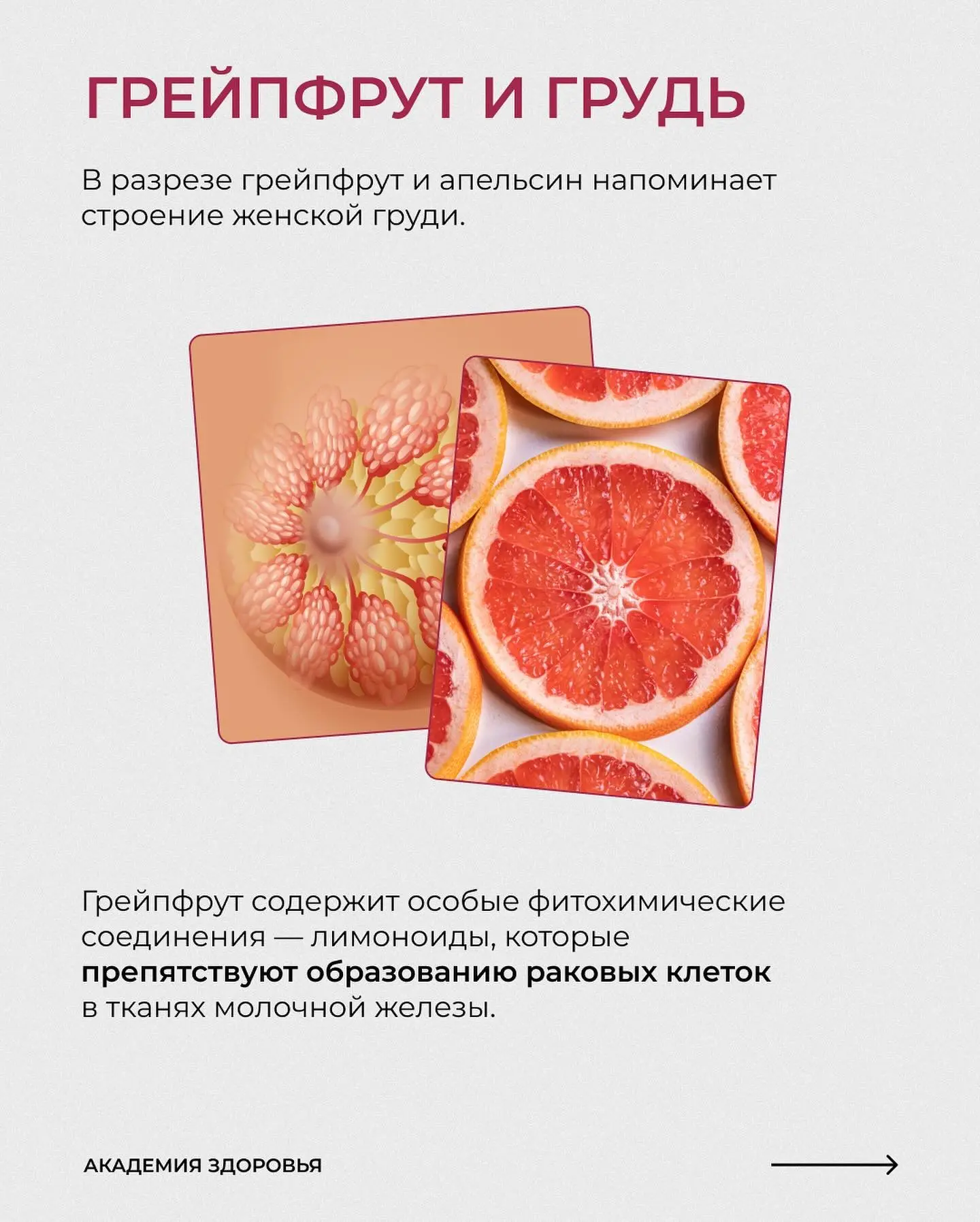 ЭТИ ПРОДУКТЫ ТОЧНО ДОЛЖНЫ БЫТЬ В ВАШЕМ РАЦИОНЕ  Все потому что они имеют особый эффект на наши орган