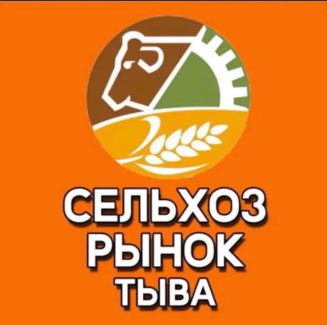 Наши группы рекомендуют своим друзьям и знакомым. С нами уже 5050 подписчиков 🔥